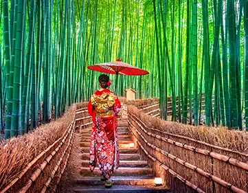 La foret de bambous d'Arashiyama